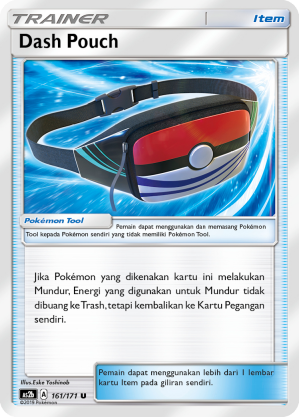 Dash Pouch 161/171