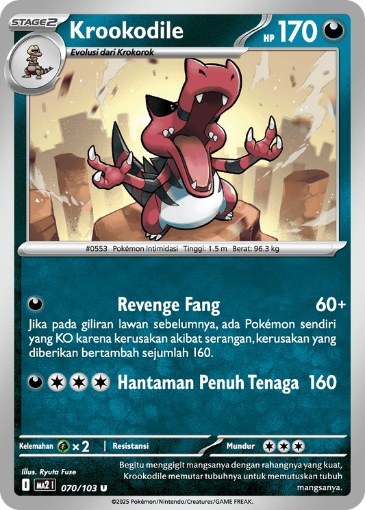Krookodile 070/103